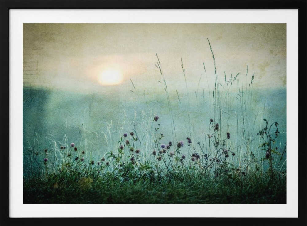 Misty Meadow Sunrise