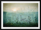 Misty Meadow Sunrise