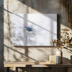 Delicate White Bloom