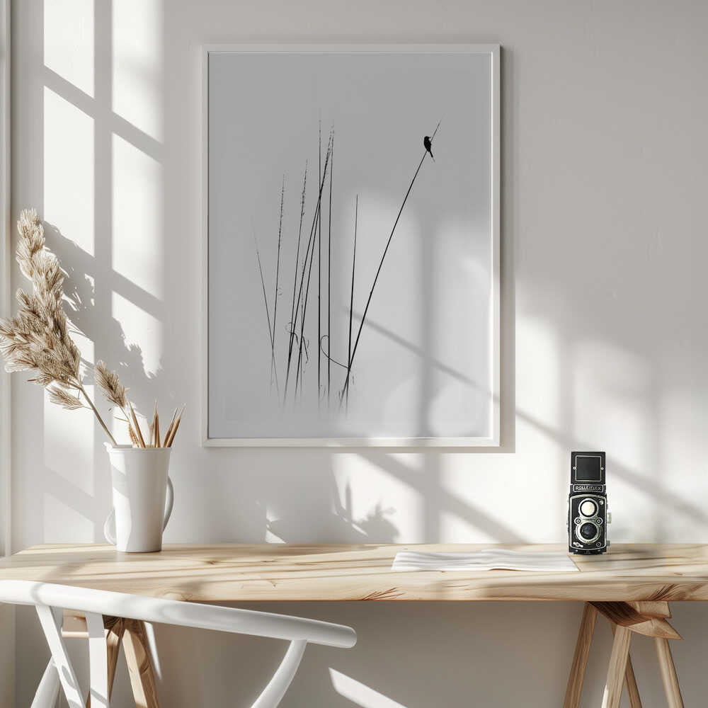 Graceful Reed Bird