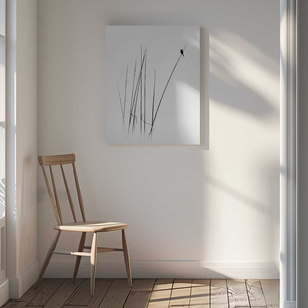 Graceful Reed Bird