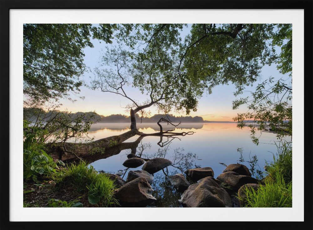 Misty Lake Morning