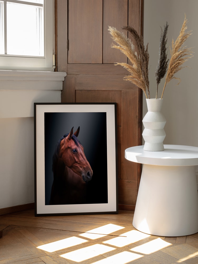 Noble Bay Horse Portrait
