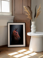 Noble Bay Horse Portrait