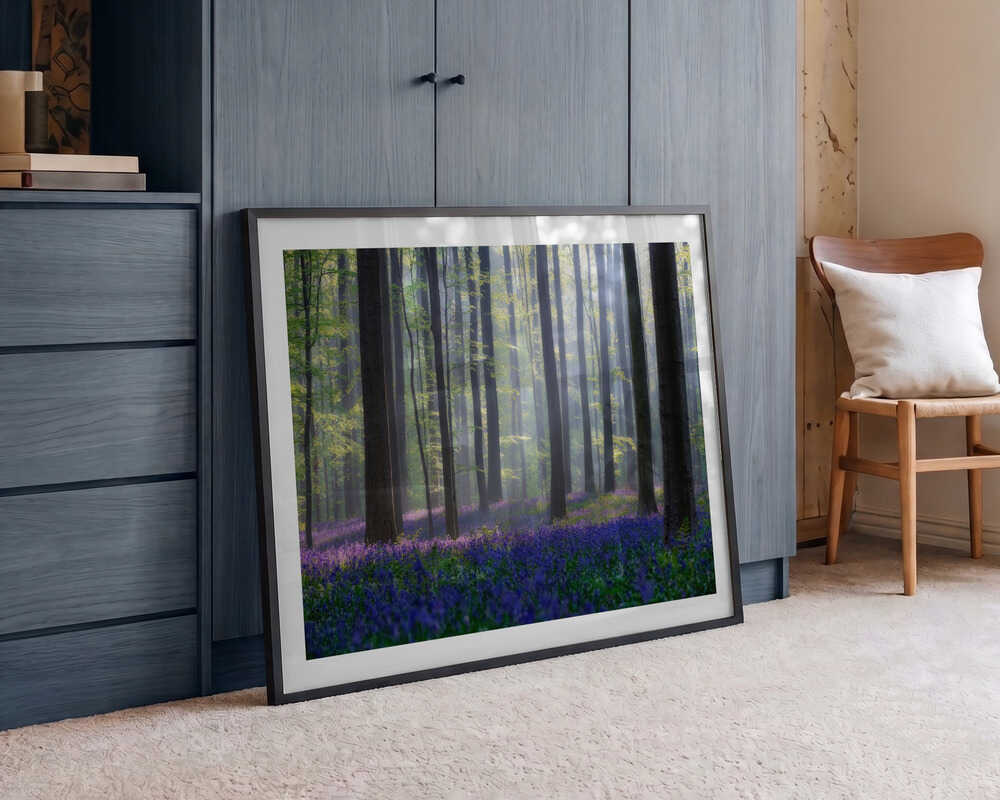 Misty Bluebell Forest