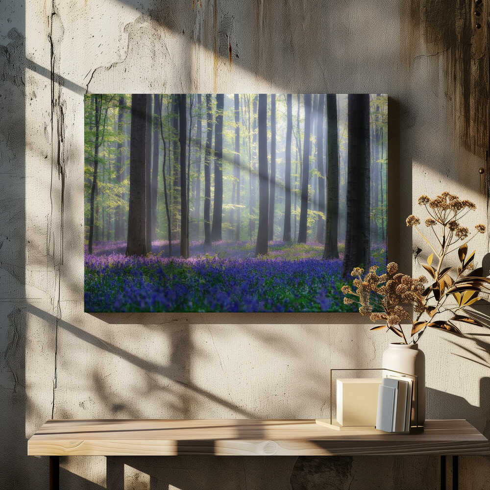 Misty Bluebell Forest