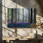 Misty Bluebell Forest