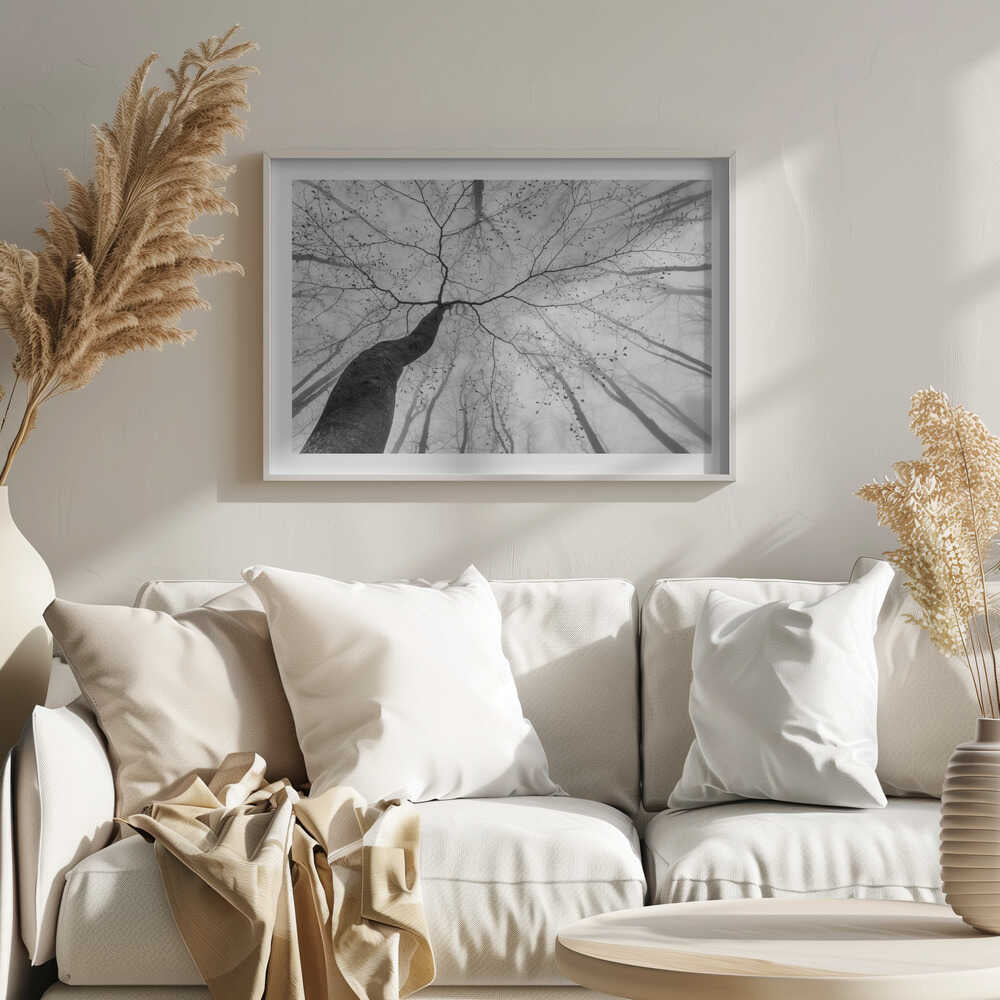 Winding Tree in Mist