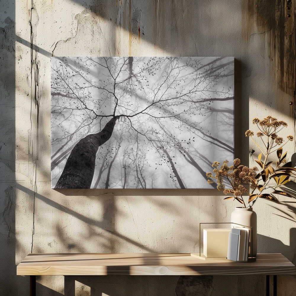 Winding Tree in Mist