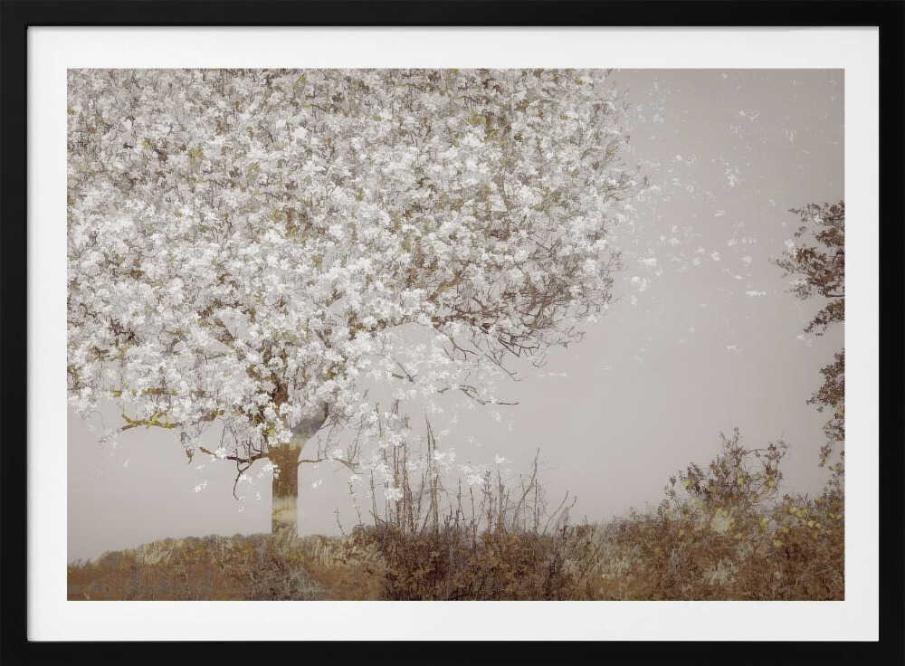 Fruit tree, arte de Nel Talen