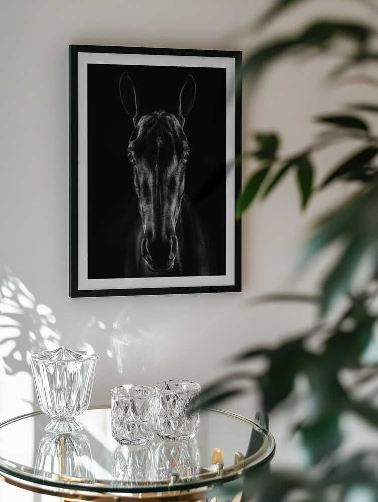 Black Horse Portrait
