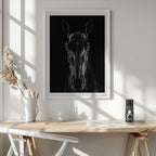 Black Horse Portrait