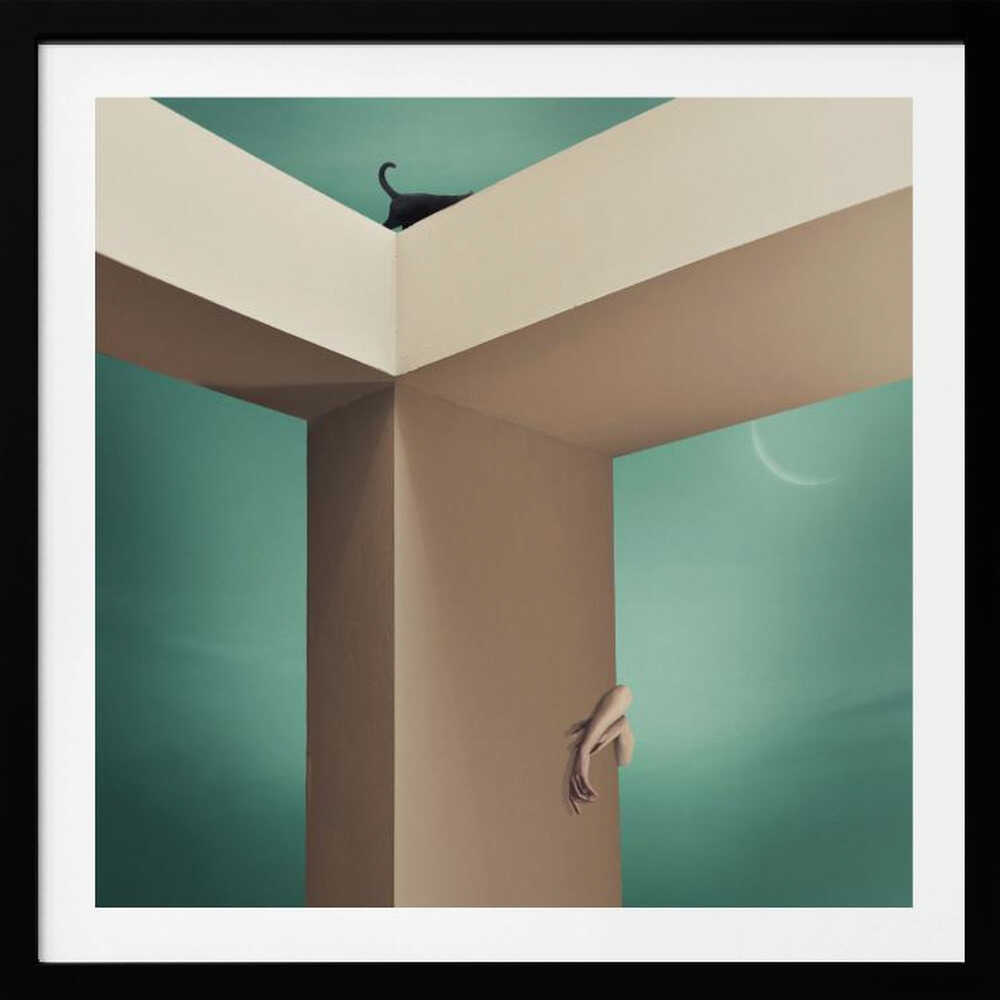 Curious Cat Dream, arte de hardibudi