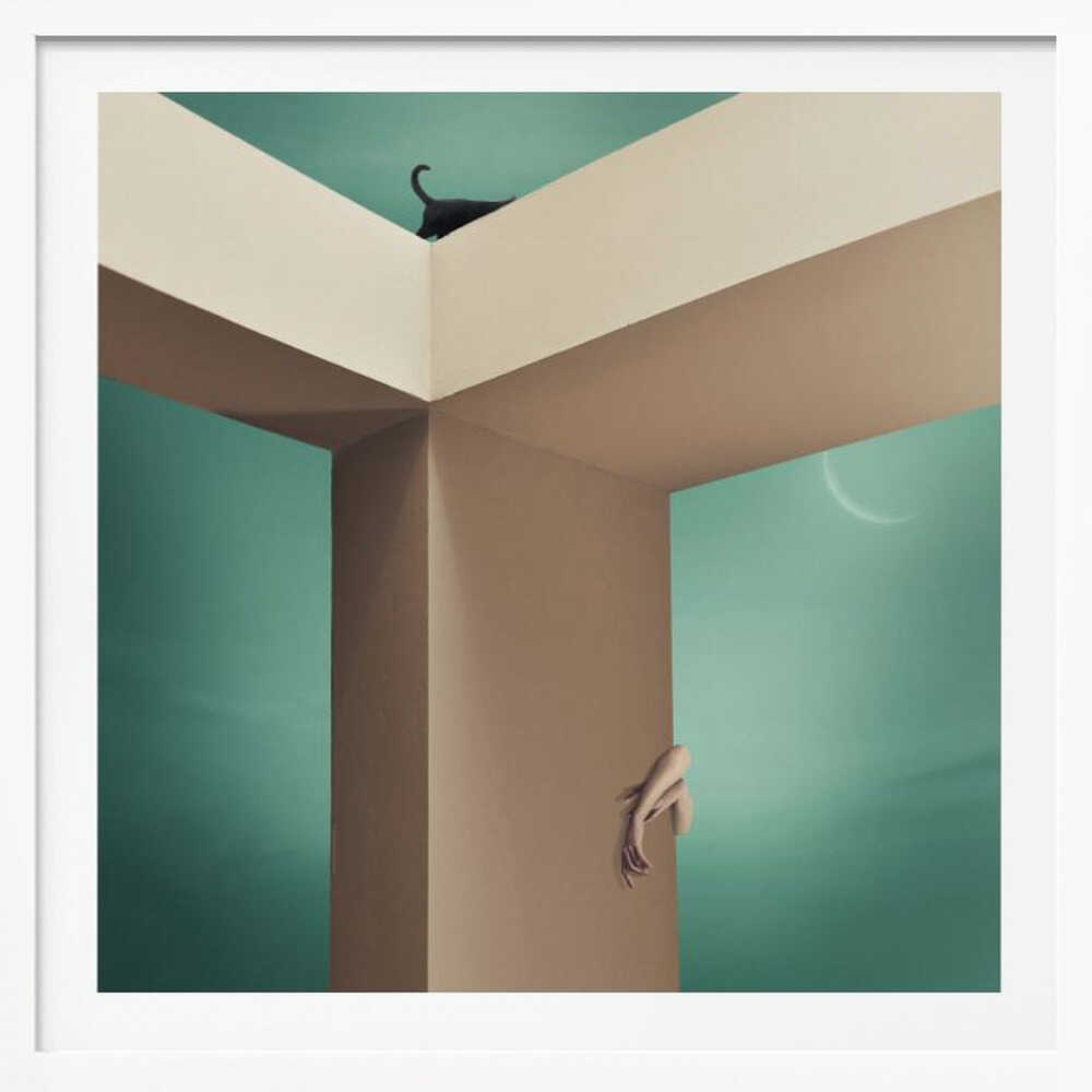 Curious Cat Dream, arte de hardibudi