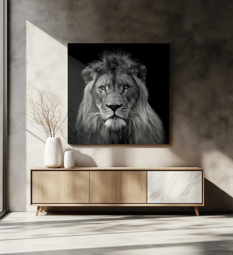 Majestic Lion Portrait, arte de Christian Meermann