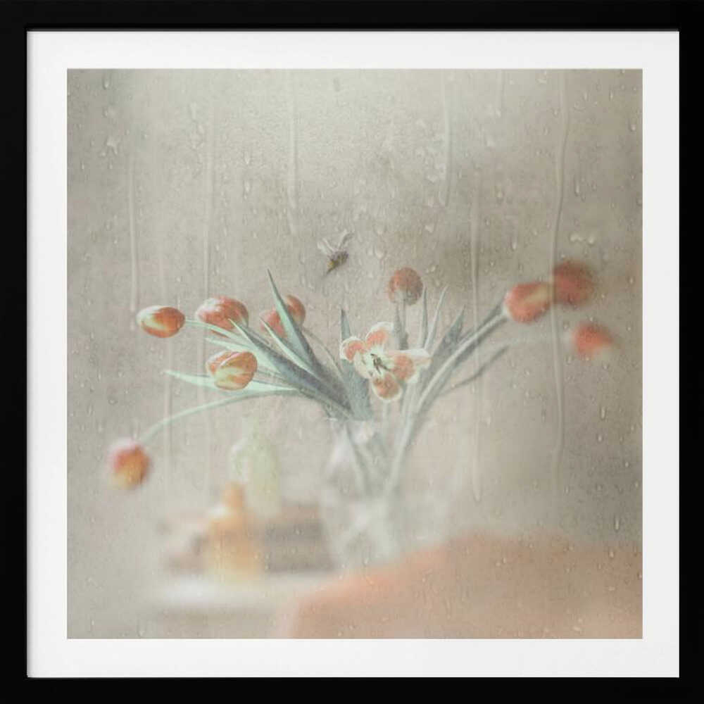 Rainy Window Tulips, arte de Delphine Devos