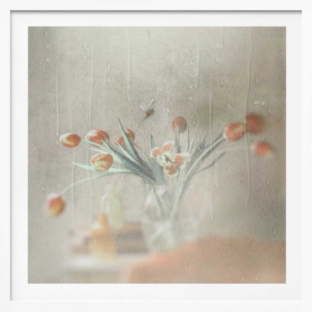 Rainy Window Tulips, arte de Delphine Devos