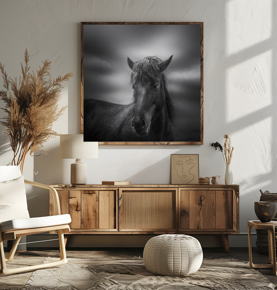 Dark Horse Portrait