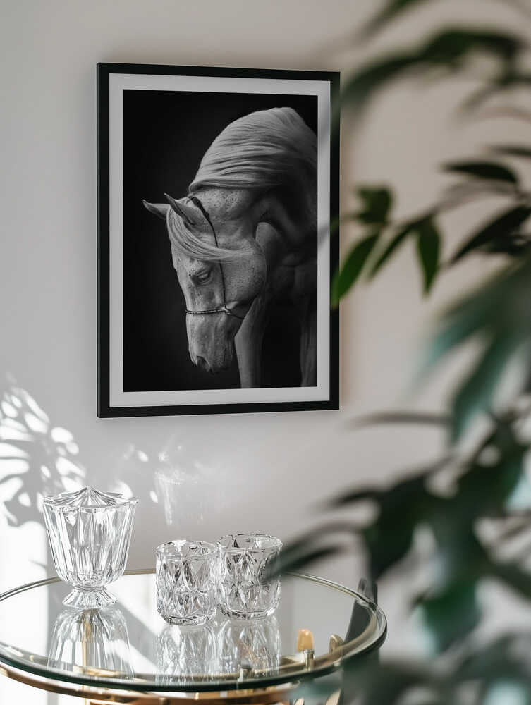 Majestic White Horse