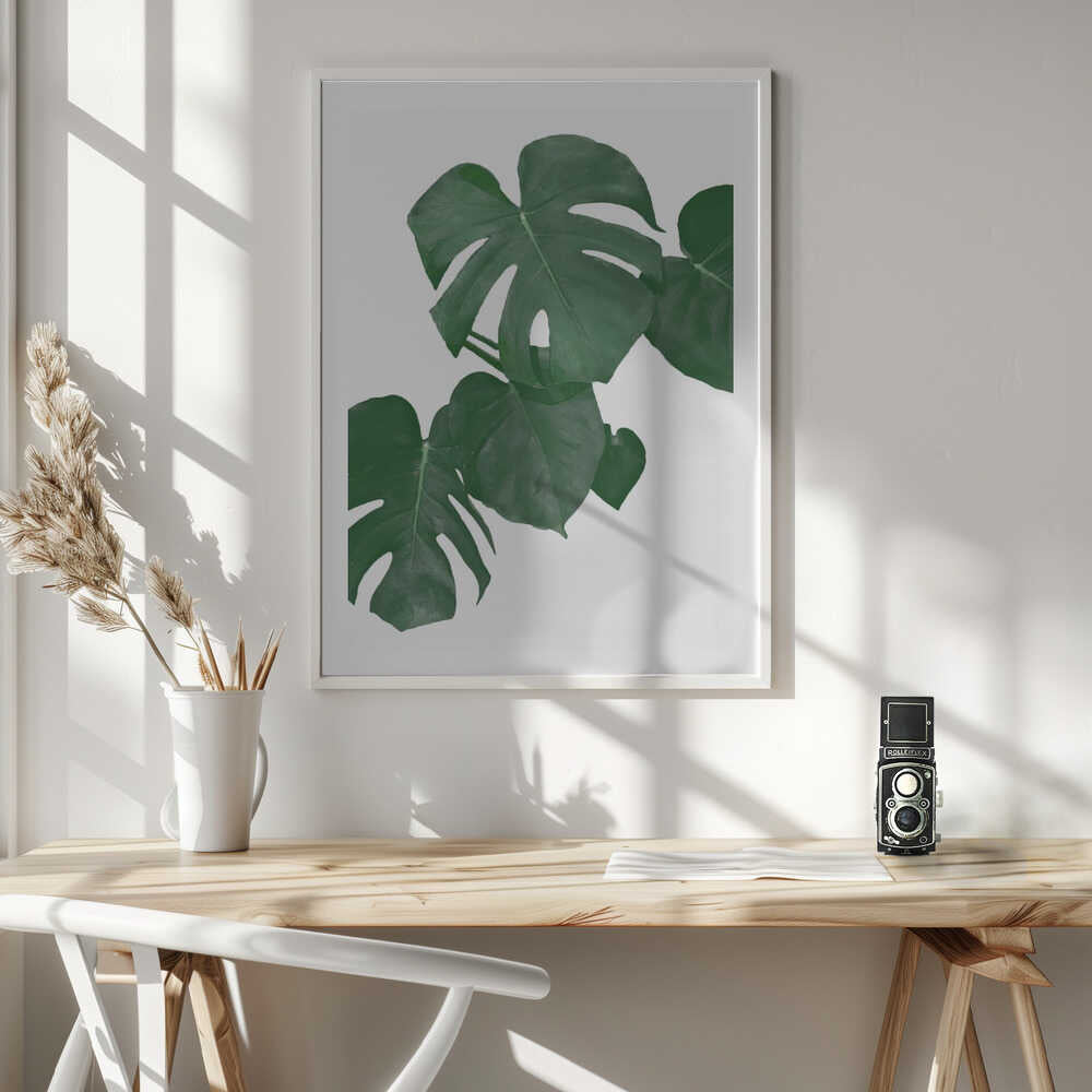 Lush Monstera Leaves, arte de Pictufy Studio II