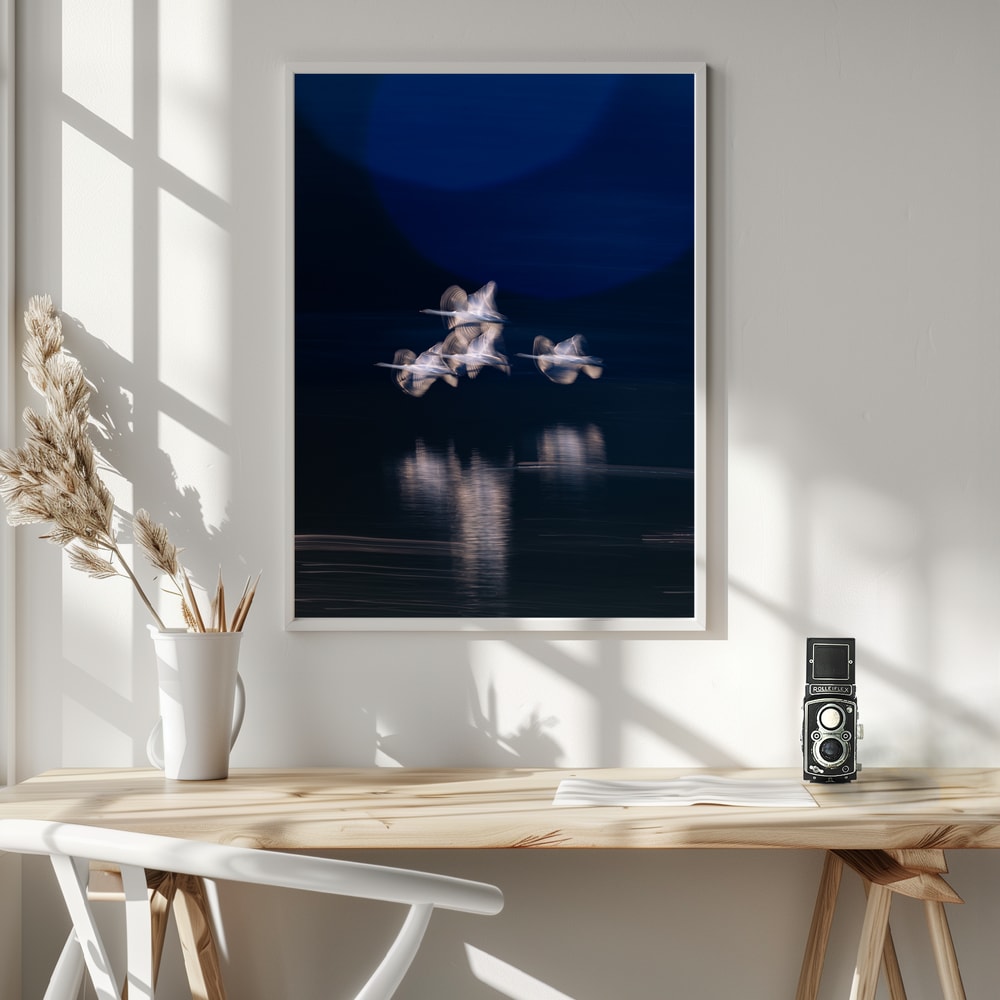 Ethereal Swans In Motion