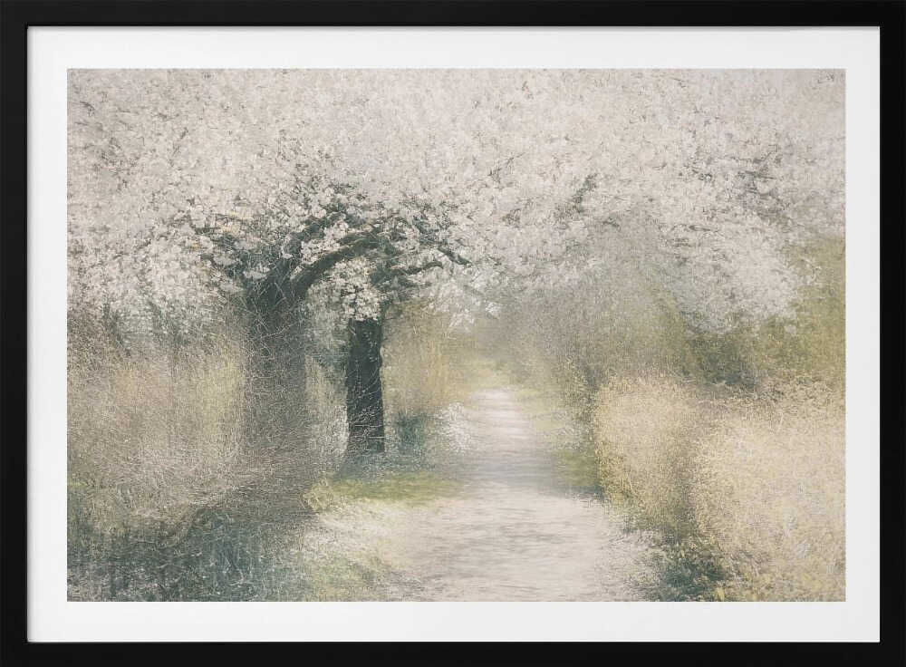 Cherry blossom, arte de Nel Talen