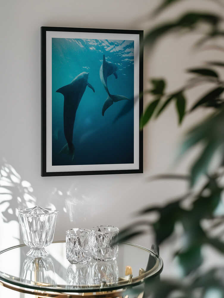 Graceful Ocean Dolphins, arte de Serge Melesan