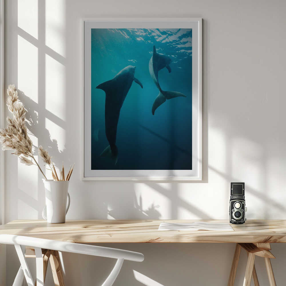 Graceful Ocean Dolphins, arte de Serge Melesan