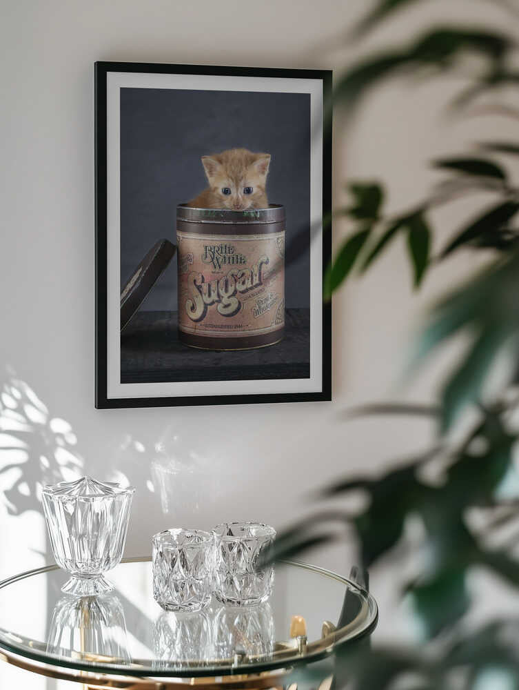Sweet Kitten In Sugar Tin, arte de Arendina de Jong