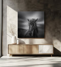 Dark Horse Portrait