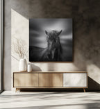 Dark Horse Portrait