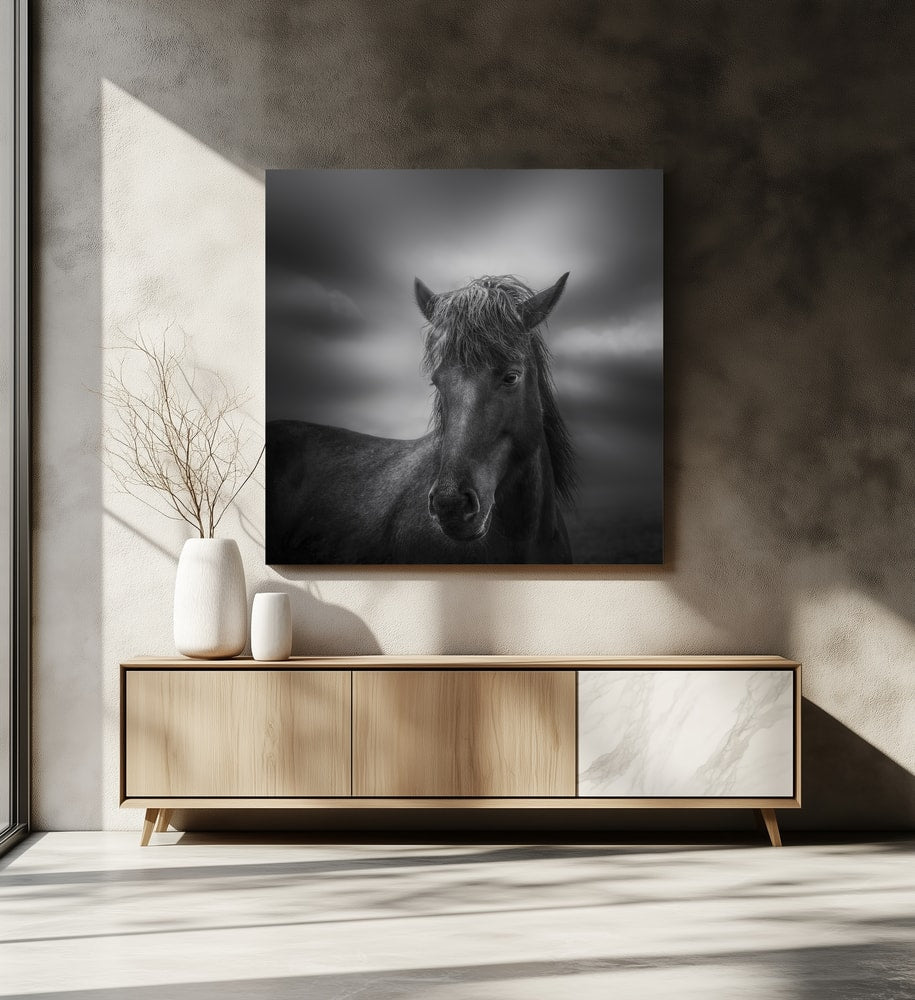 Dark Horse Portrait