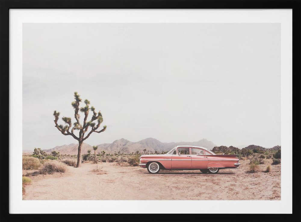 In the desert, arte de Kathrin Pienaar