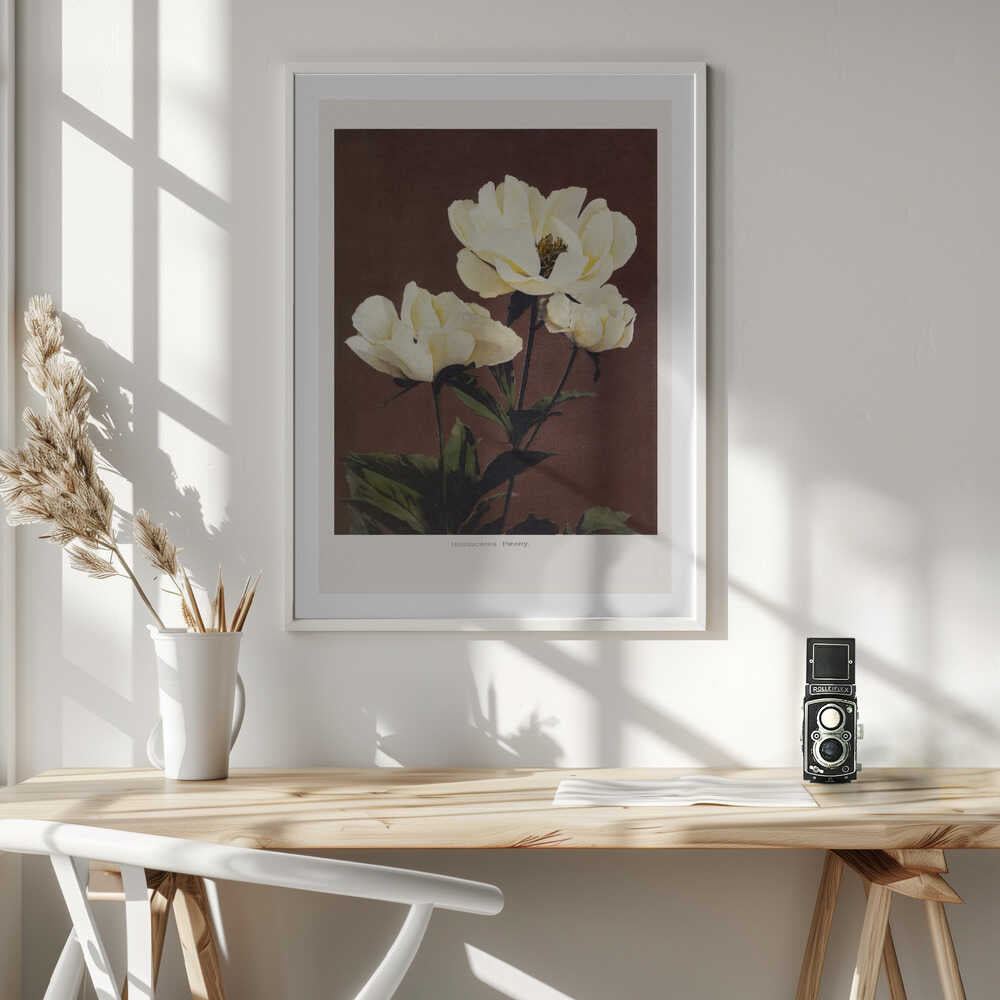 Hærdaceous Peony, arte de Ogawa Kazumasa