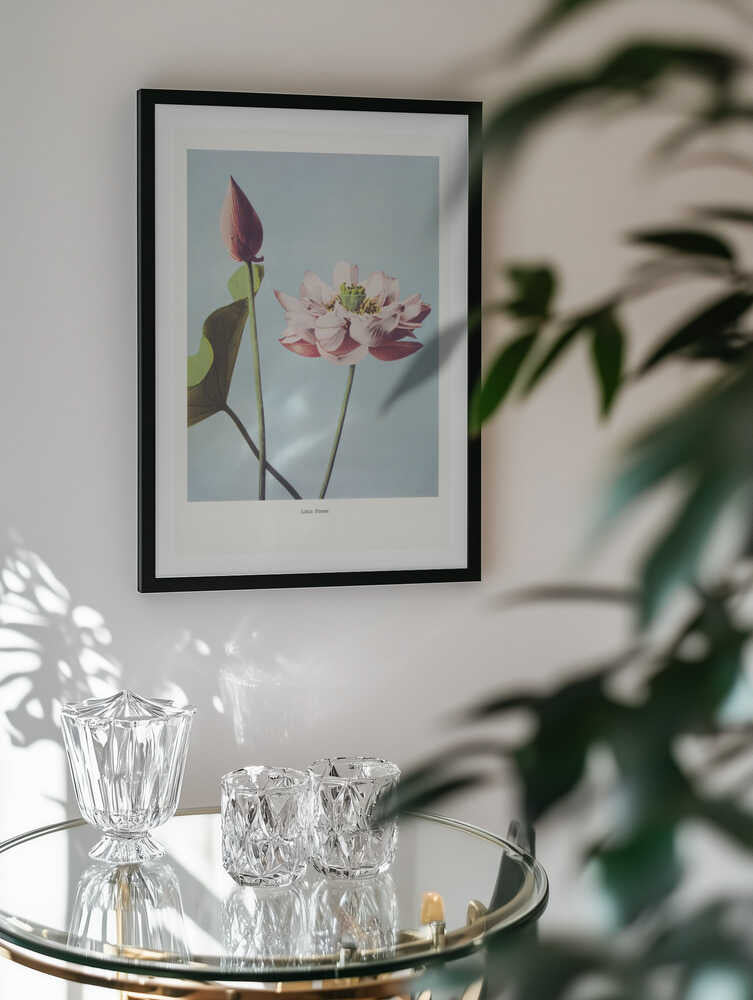 Lotus Flowers, arte de Ogawa Kazumasa