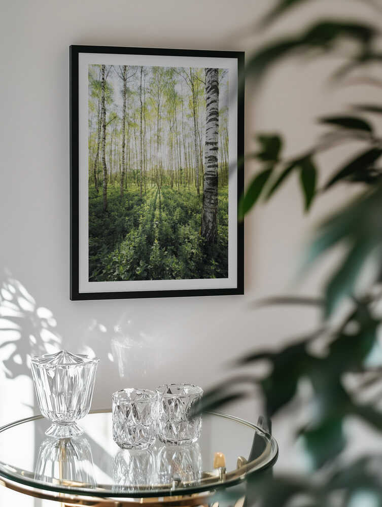 Birch Grove vertical