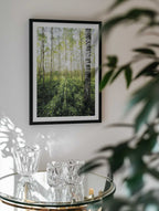 Birch Grove vertical