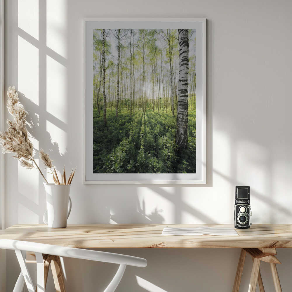 Birch Grove vertical