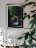 Mystic Jungle