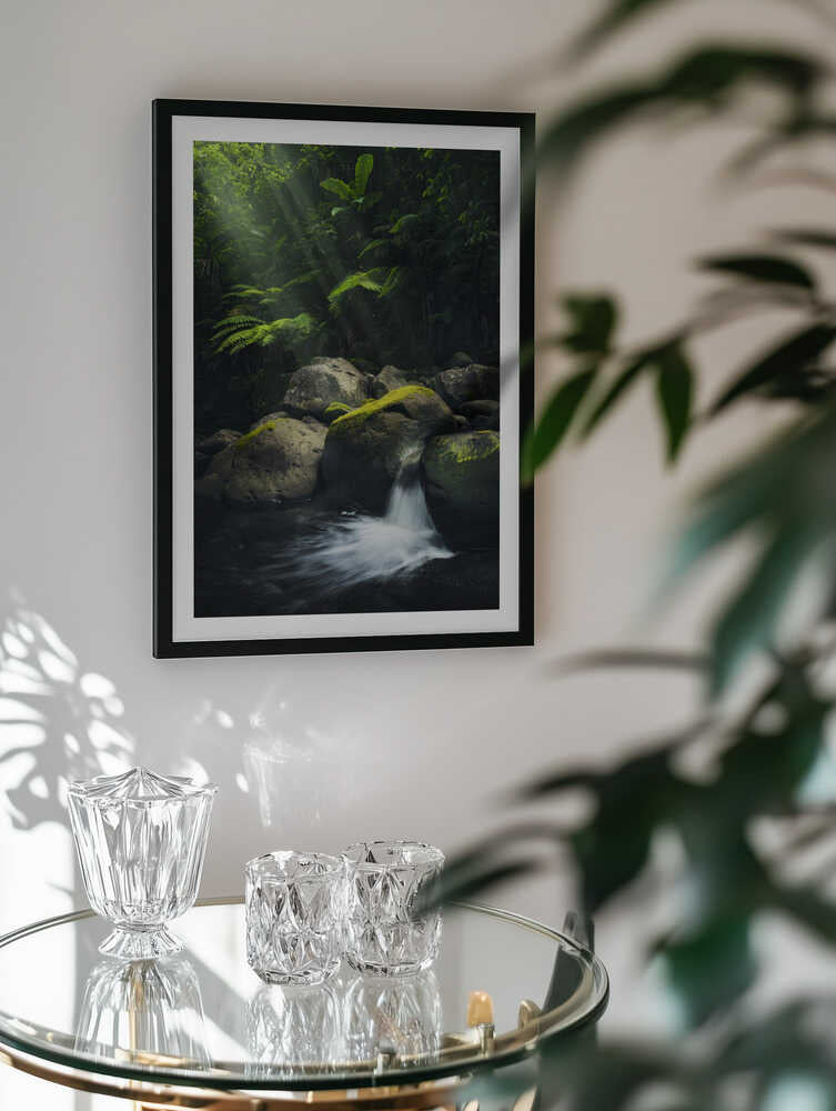Mystic Jungle