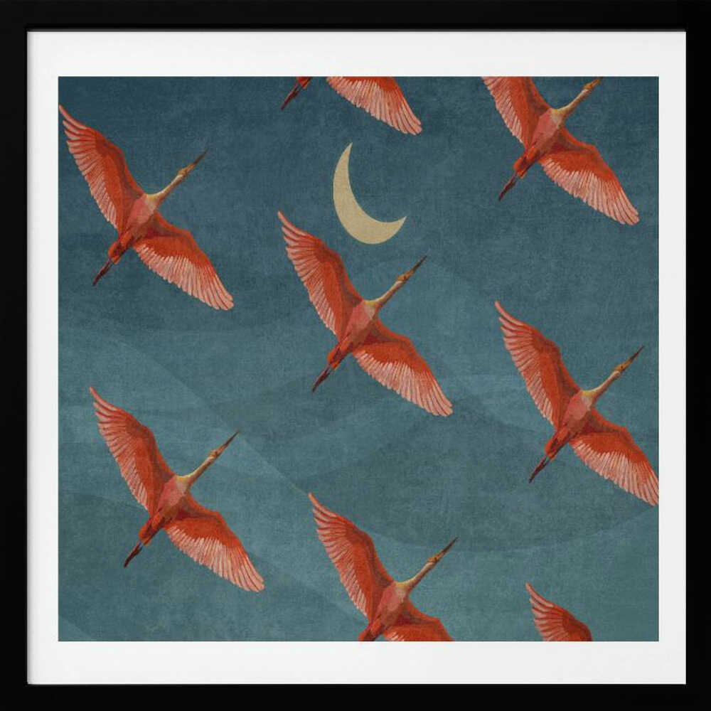 Crimson Flight Nights