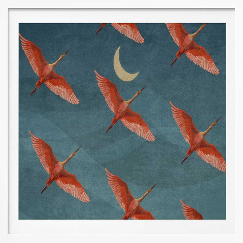 Crimson Flight Nights