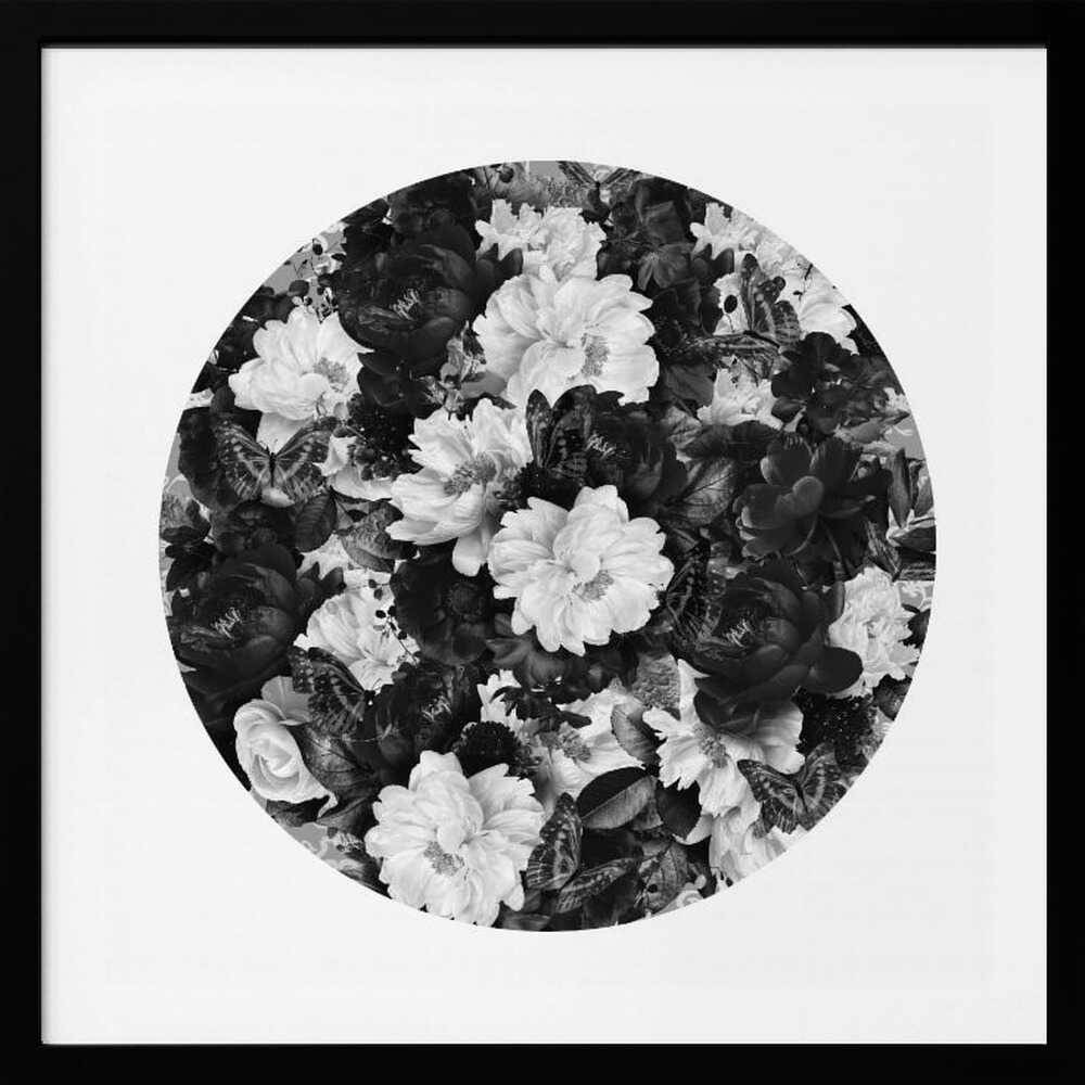 Monochrome Peonies and Butterflies, arte de Sue Skellern
