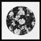 Monochrome Peonies and Butterflies, arte de Sue Skellern