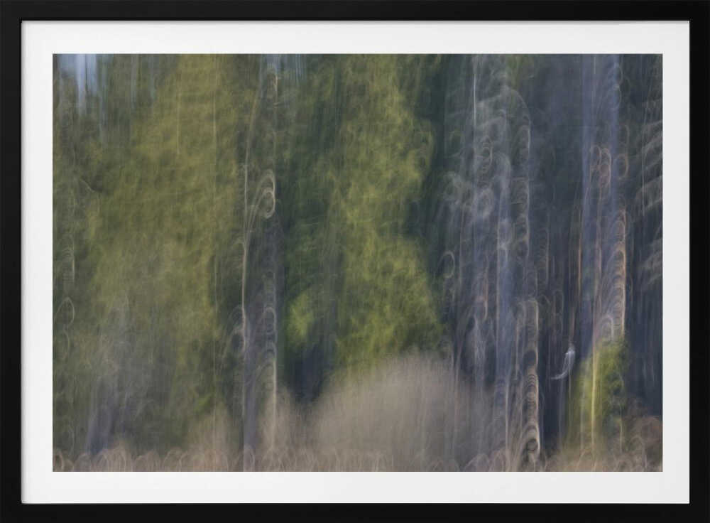 Blurred Forest Lines
