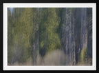Blurred Forest Lines