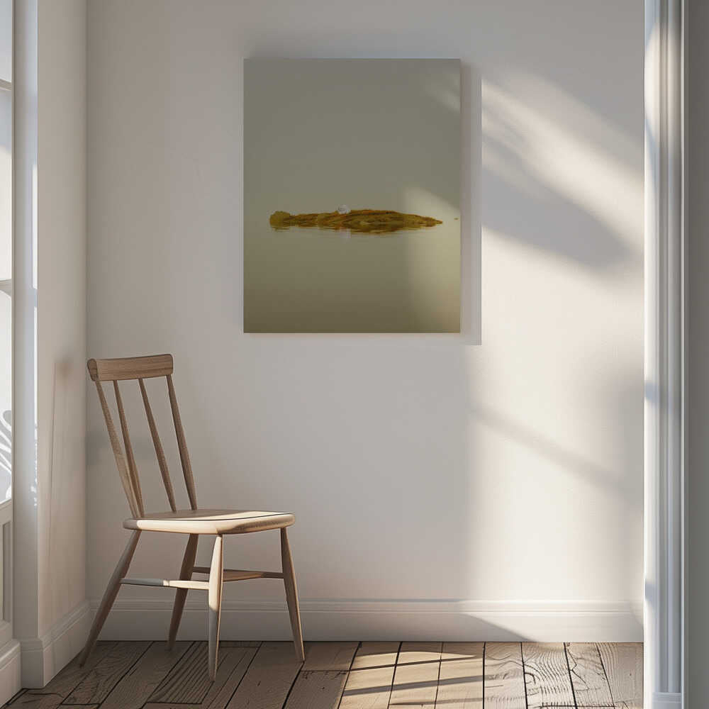 Floating Moss Island Pearl, arte de Javier Pardina