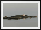 Moon Island Reflection, arte de Javier Pardina