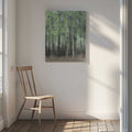 Dreamy Birch Woods, arte de Christina Sillen