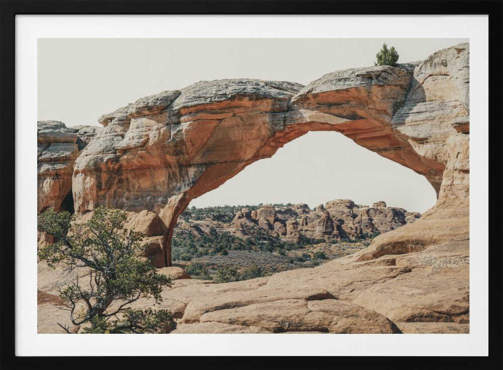 Natural Desert Arch, arte de Courtney Crane